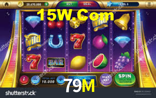 Premium Interface 79M